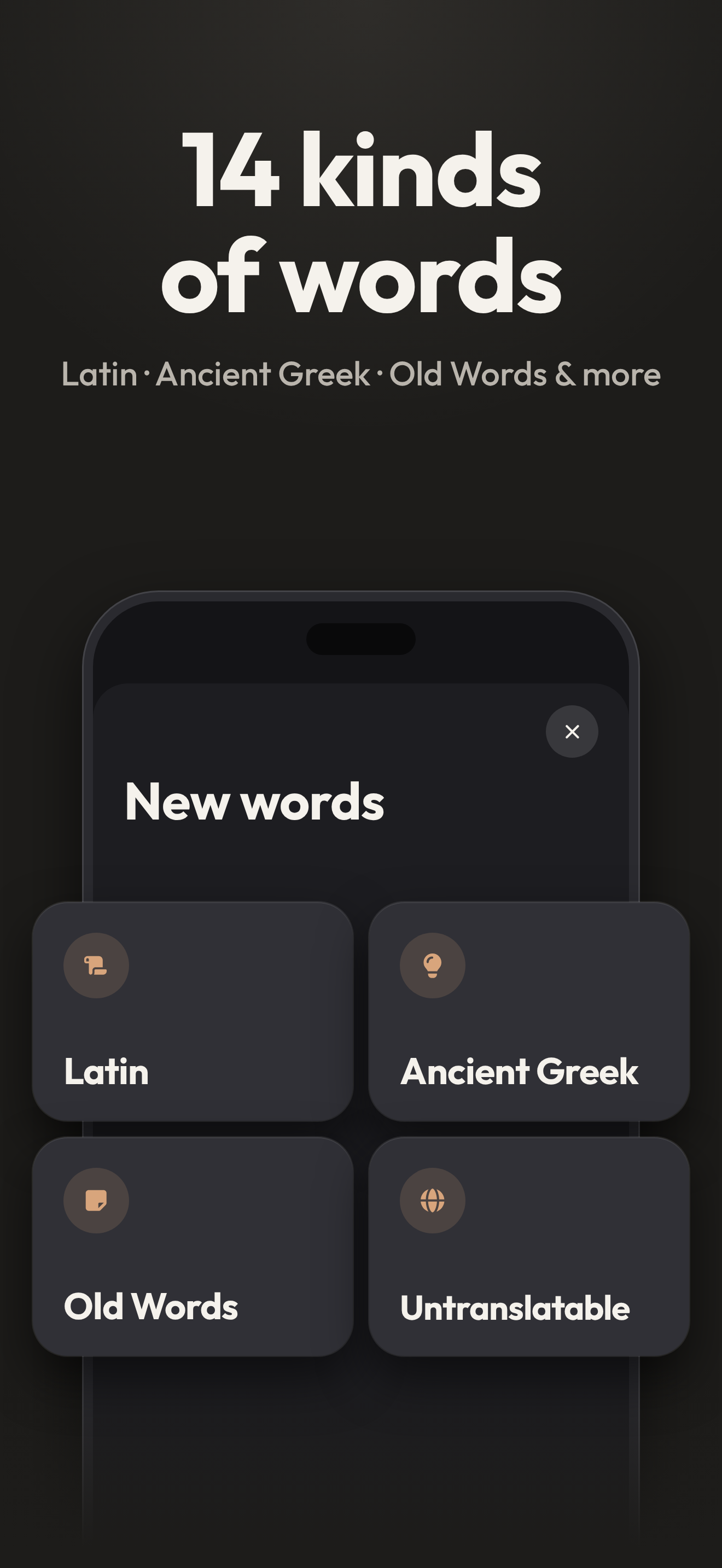 14 kinds of words