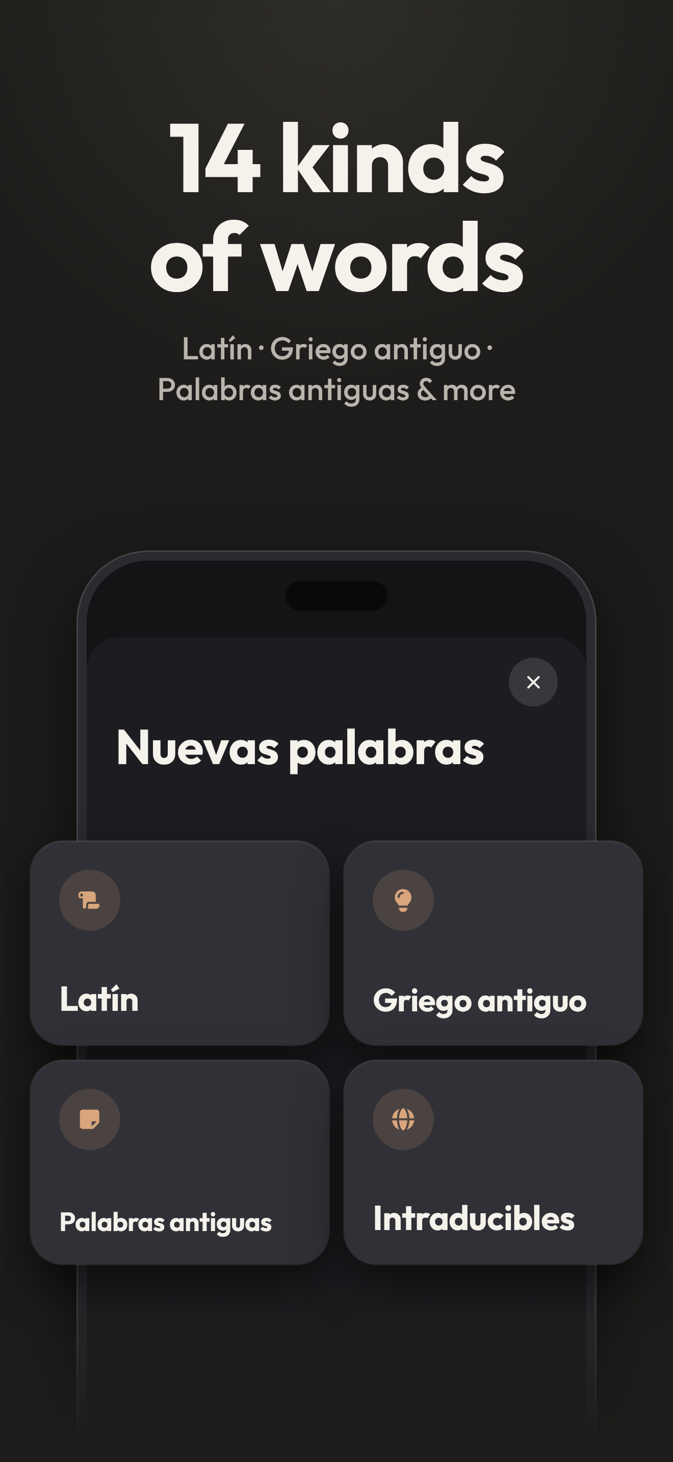 14 tipos de palabras
