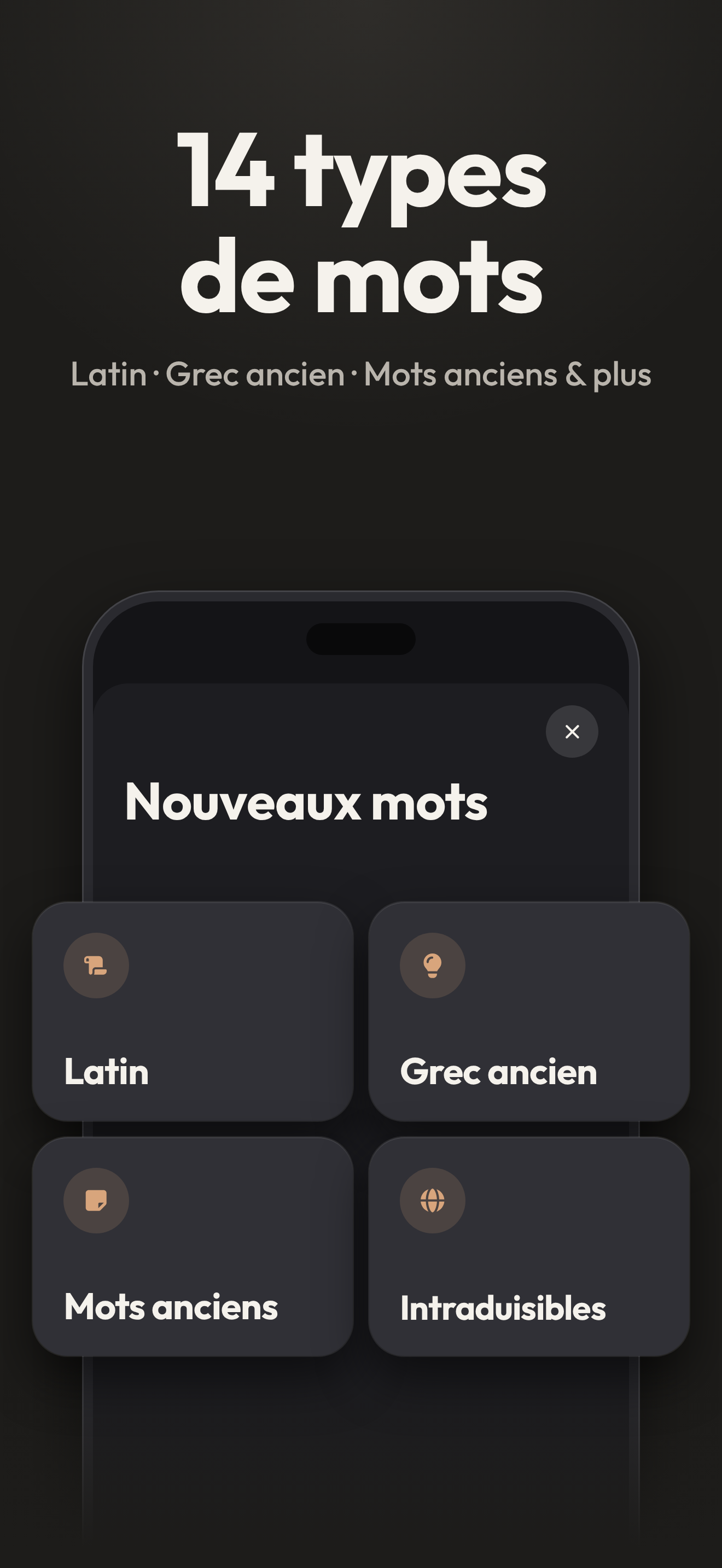 14 types de mots