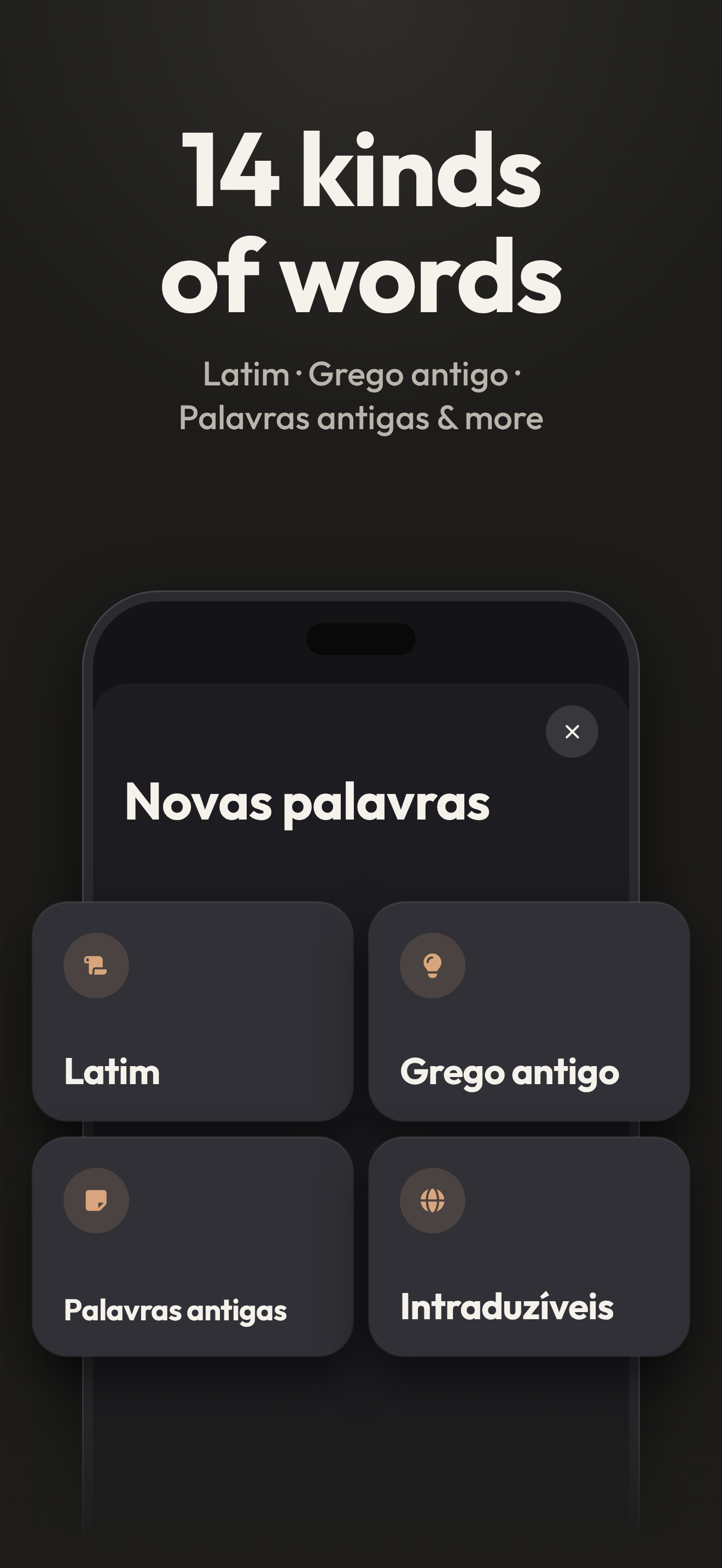 14 tipos de palavras