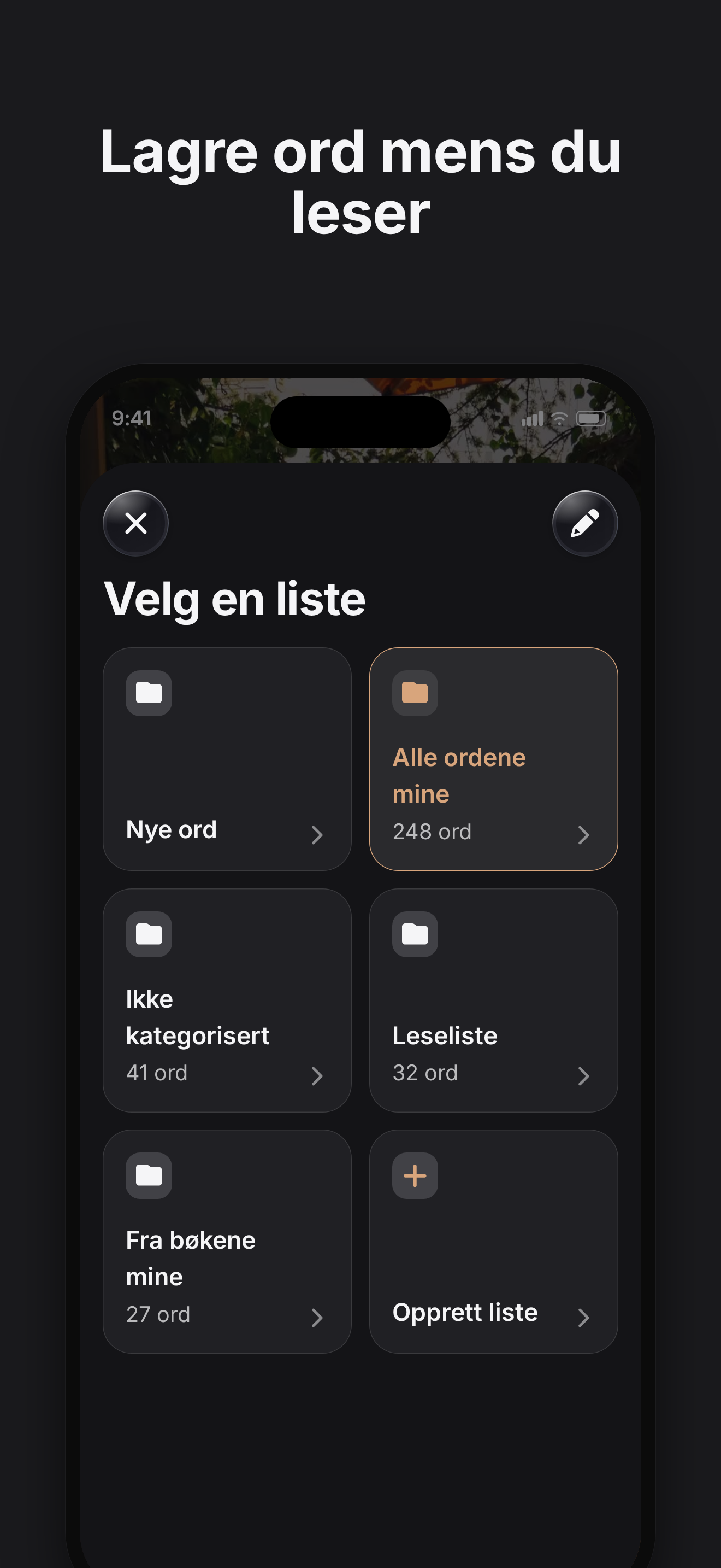 Lagre ord mens du leser